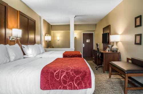 Hotel Comfort Suites Manheim - Lancaster