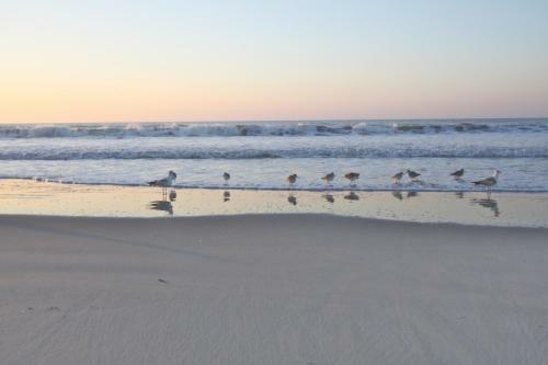 Family Tides