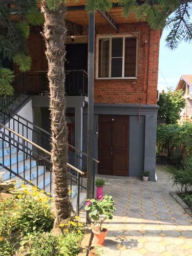 Hostal Guest House In Rainforest