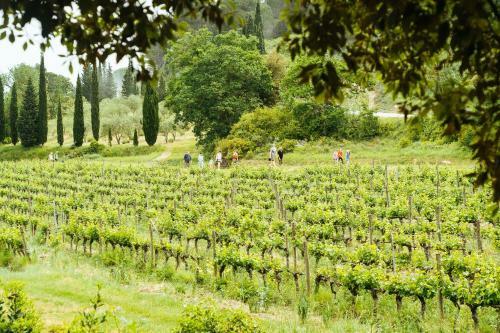 Domaine Calmel & Joseph