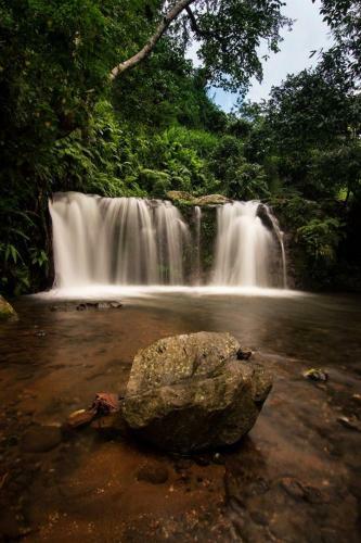 Tereng Wilis Jungle Inn