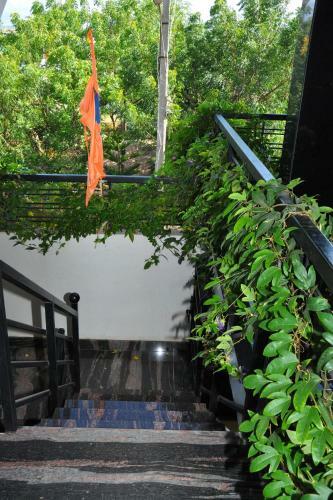 Bed & Breakfast Dream Homestay