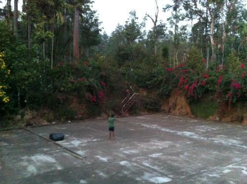 Kuttana Coffee Estate Homestay