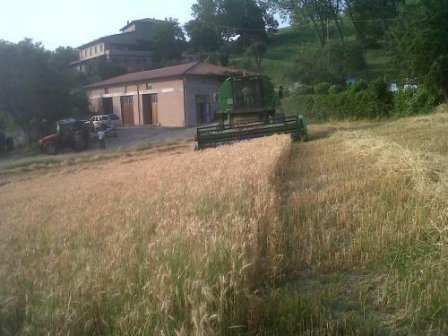 Agroturismo Agriturismo Belvedere