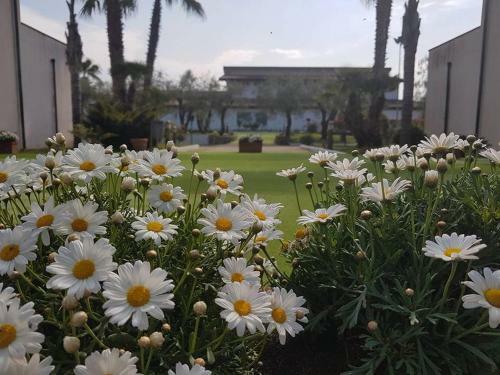 Hotel Villa Montalto Resort