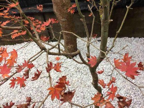 Apartamento Green House 1-mt.fuji Gotemba-