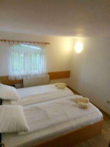 Hostel Sunce