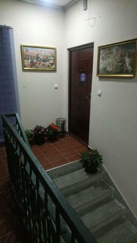 Apartamentos Bolonja