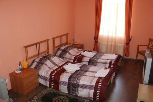 Hotel Volkhov Most