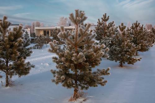 Eco-hotel Vetochka