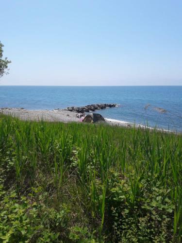Hostal Guest House Tomichka