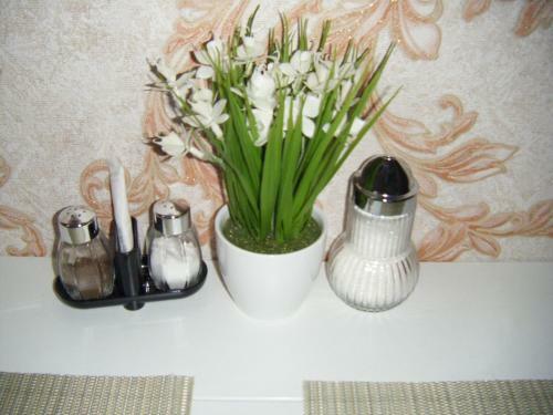 Apartment On Oleksandra Konyskogo 10