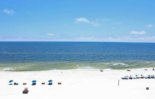 Whaler 7c Apartment