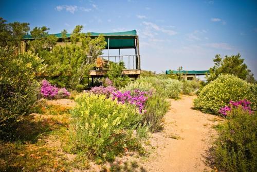 Agama Tented Camp