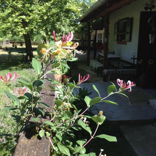 Hostal Garz-puszta Tanya