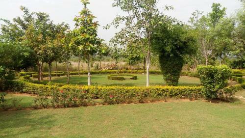 Villa 2 Bhk Bungalow In Orchha