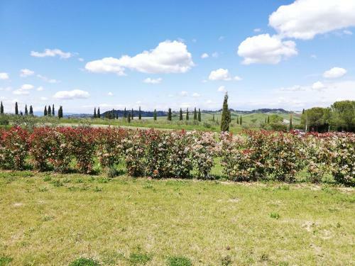 Agroturismo La Mandriola