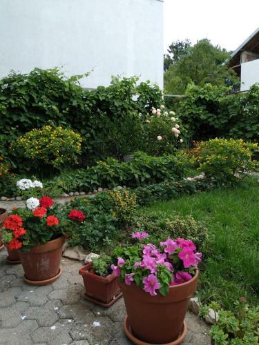 Hostal Apartments And Rooms Mila
