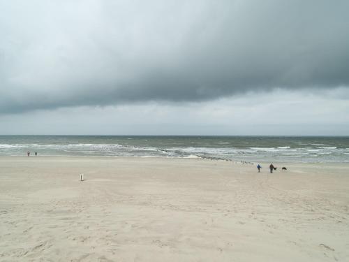 Sea Lodge Ameland 6