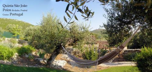 Quinta De S�o Jo�o