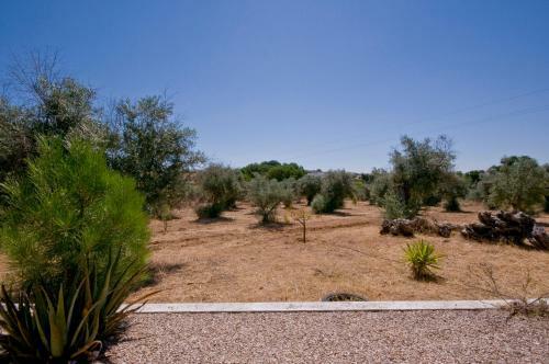 Holiday Home Estrada Antiga De Vila De Frades
