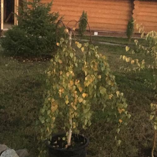 Posada Inn Gostevoy Dvor