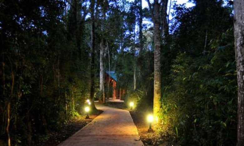 Yvy Hotel De Selva