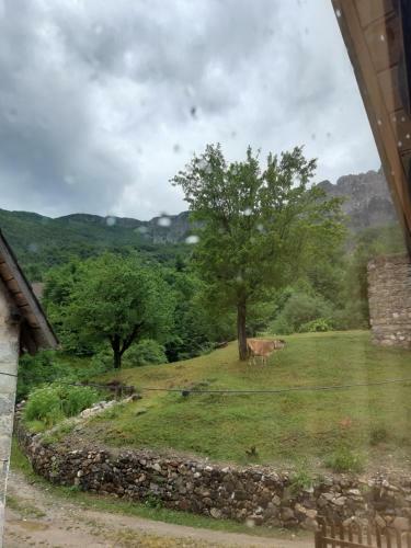 Hostal Bujtina Terthorja