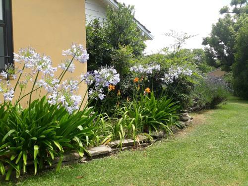 Lodge La Caledonia Caba�as Boutique