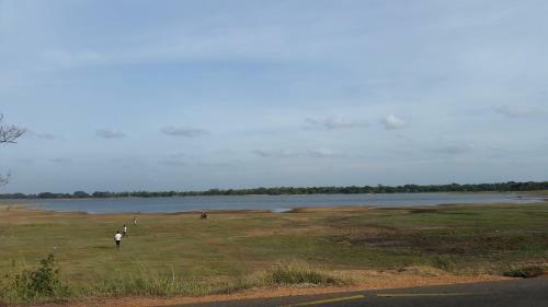 Lake House Homestay