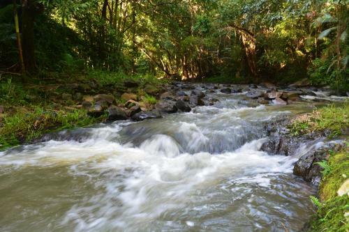 Tropical Bliss Bed And Breakfast
