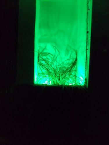 Hostal Pousada Leprechaun
