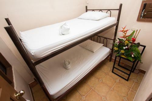 Bed & Breakfast Hostel Manuel Antonio