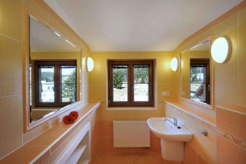 Horsk� Hotel Kop?ivn�