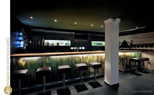 Horsk� Hotel Kop?ivn�