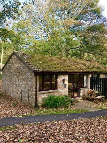 Cosy Woodland Home