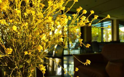 Alexakis Hotel & Spa