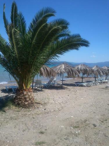 Hostal Evoikos Beach & Resort