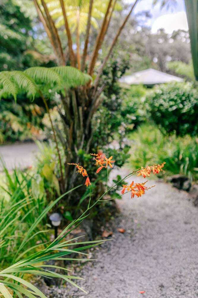 Bed & Breakfast Kilauea Lodge And Restaurant