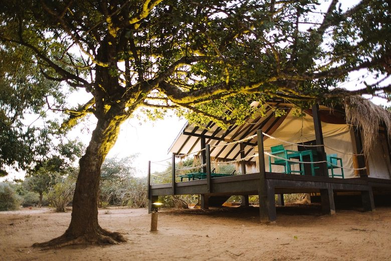 Jetwing Safari Camp ( All Inclusive)