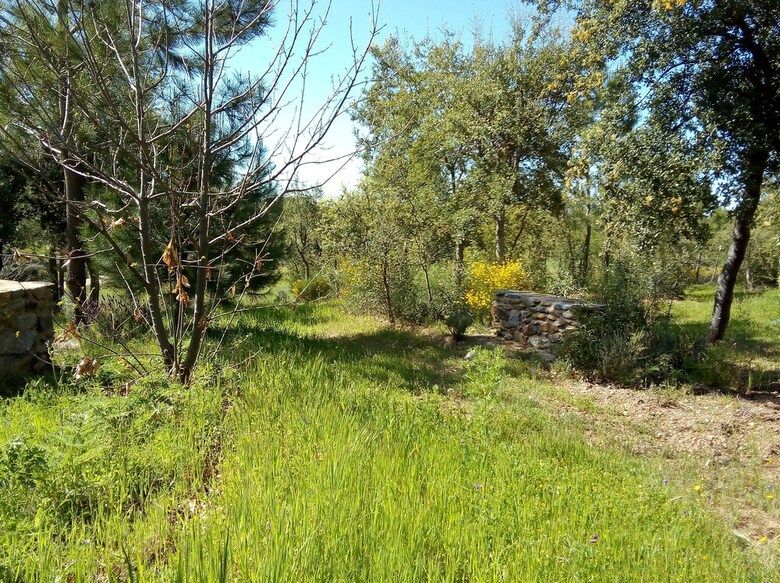 Agroturismo El Jiniebro Turismo Rural