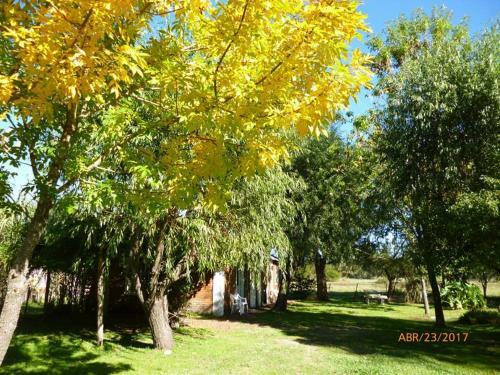 Lodge Caba�as Los Girasoles