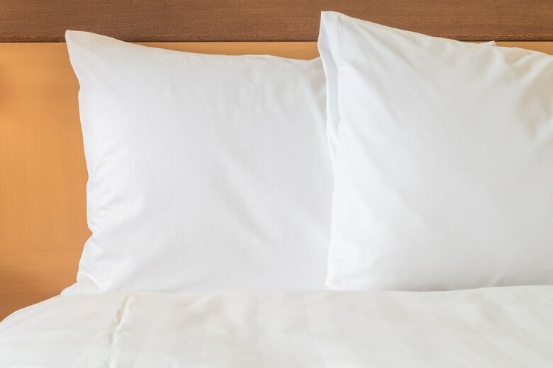 Hotel Holiday Inn Bloomington - Normal
