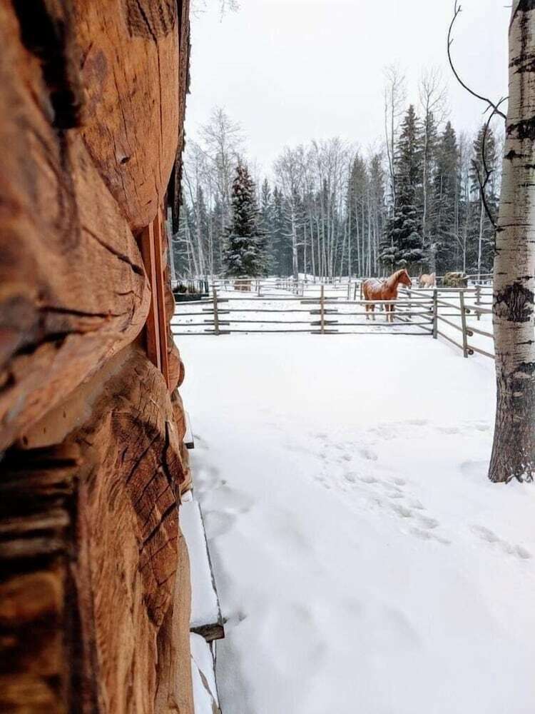 Bed & Breakfast Montana Hill Guest Ranch