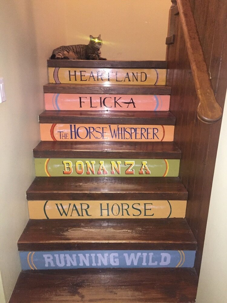 Bed & Breakfast Montana Hill Guest Ranch