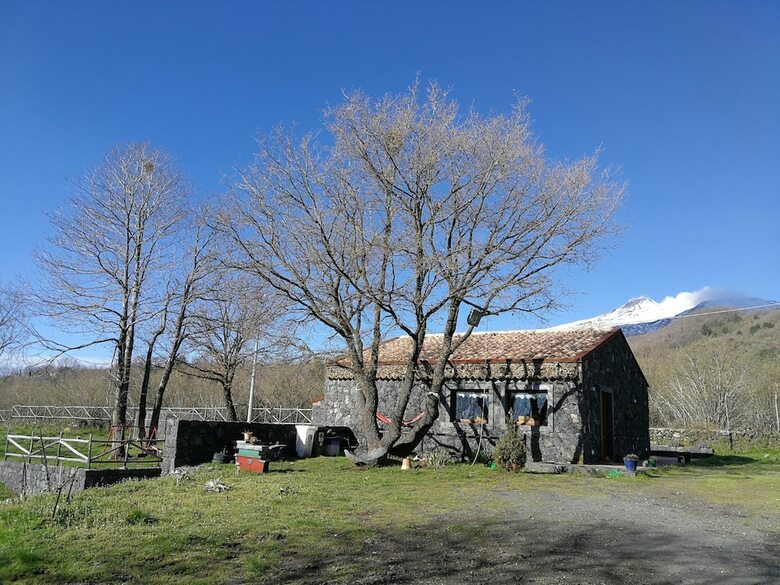 Agroturismo Viola Nel Parco