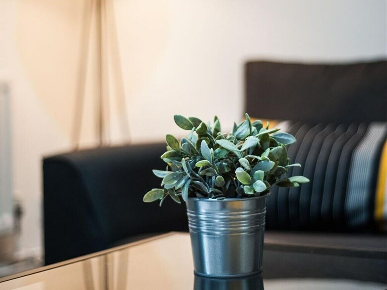 Apartamentos Deluxe Lets - Mayflower Court