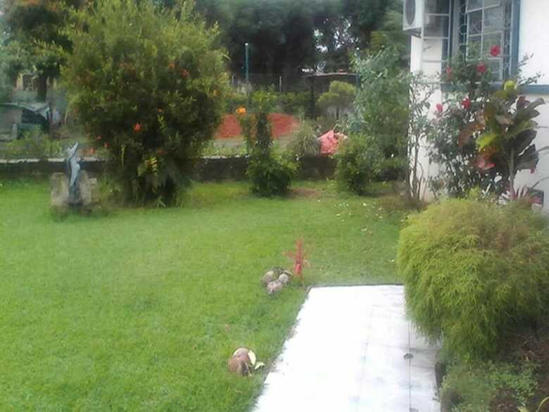 Bed & Breakfast Dreams Homestay
