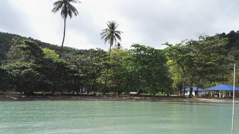 Tropical Eco Camping