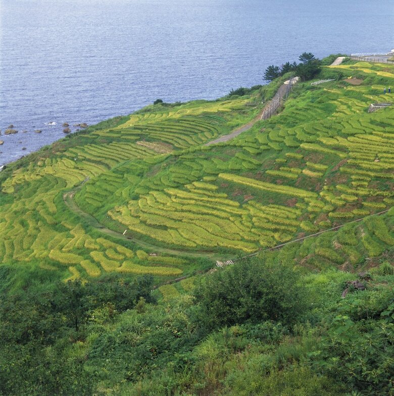 Hotel Notokakinoyado Castle Manai